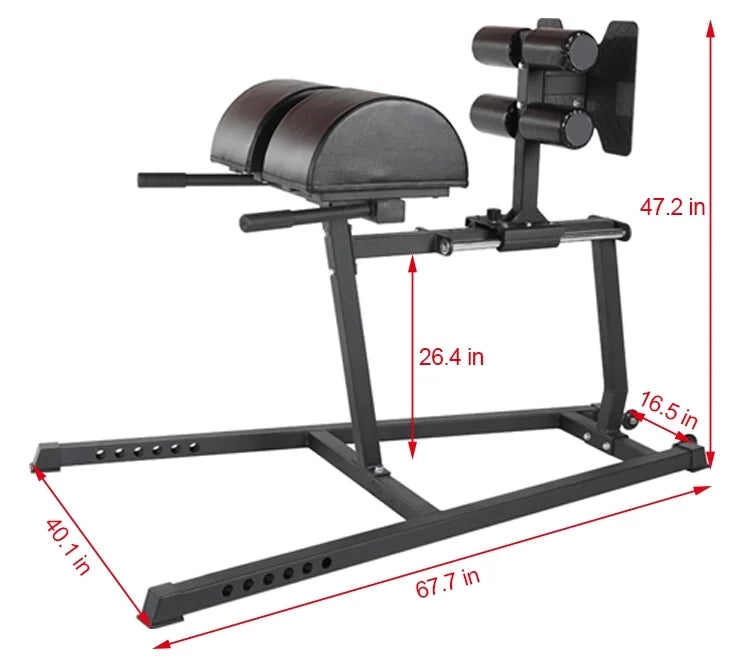 Roman Developer (New) Fitness French Glute Chair GHD Ham