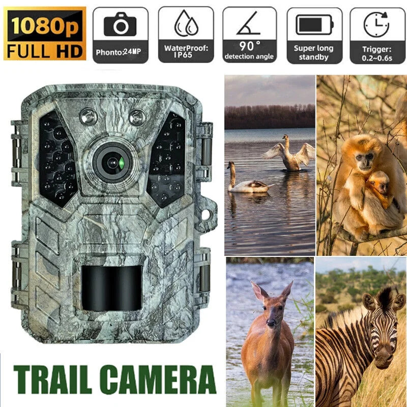 Trail Camera Hunting Mini Wildlife 24MP Vision Night Cam 1080P Waterproof with