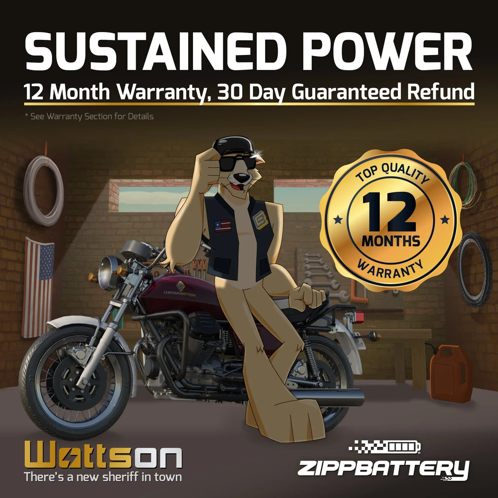 Ah, Cat Battery CCA) (14AHL-BS YTX14AHL-BS Jag for Zipp 210 Dlx Arctic Snowmobile Volt,12 Battery 1992 Jag 12