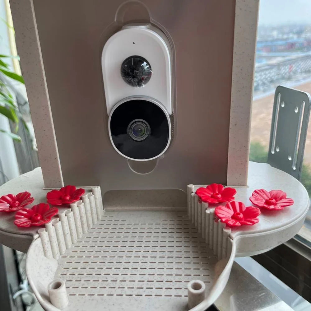 Bird Bird Real-time Smart Capture TF Detection Motion IP65 Bird Cards Species Waterproof Auto WIFI 1080P Carevas Camera Video Notification AI 128G and Identify Feeder