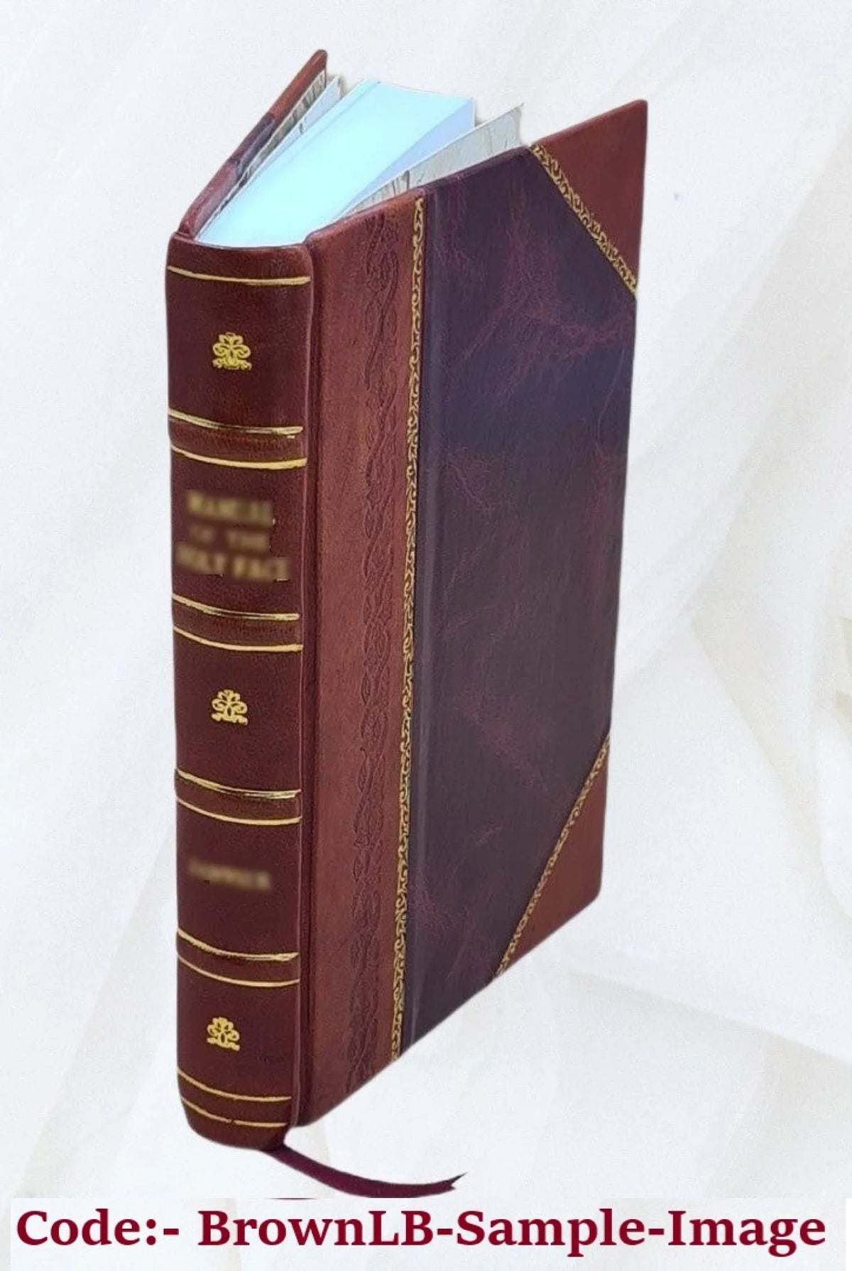 1905 Gladstonian [Leather Bound] ghosts