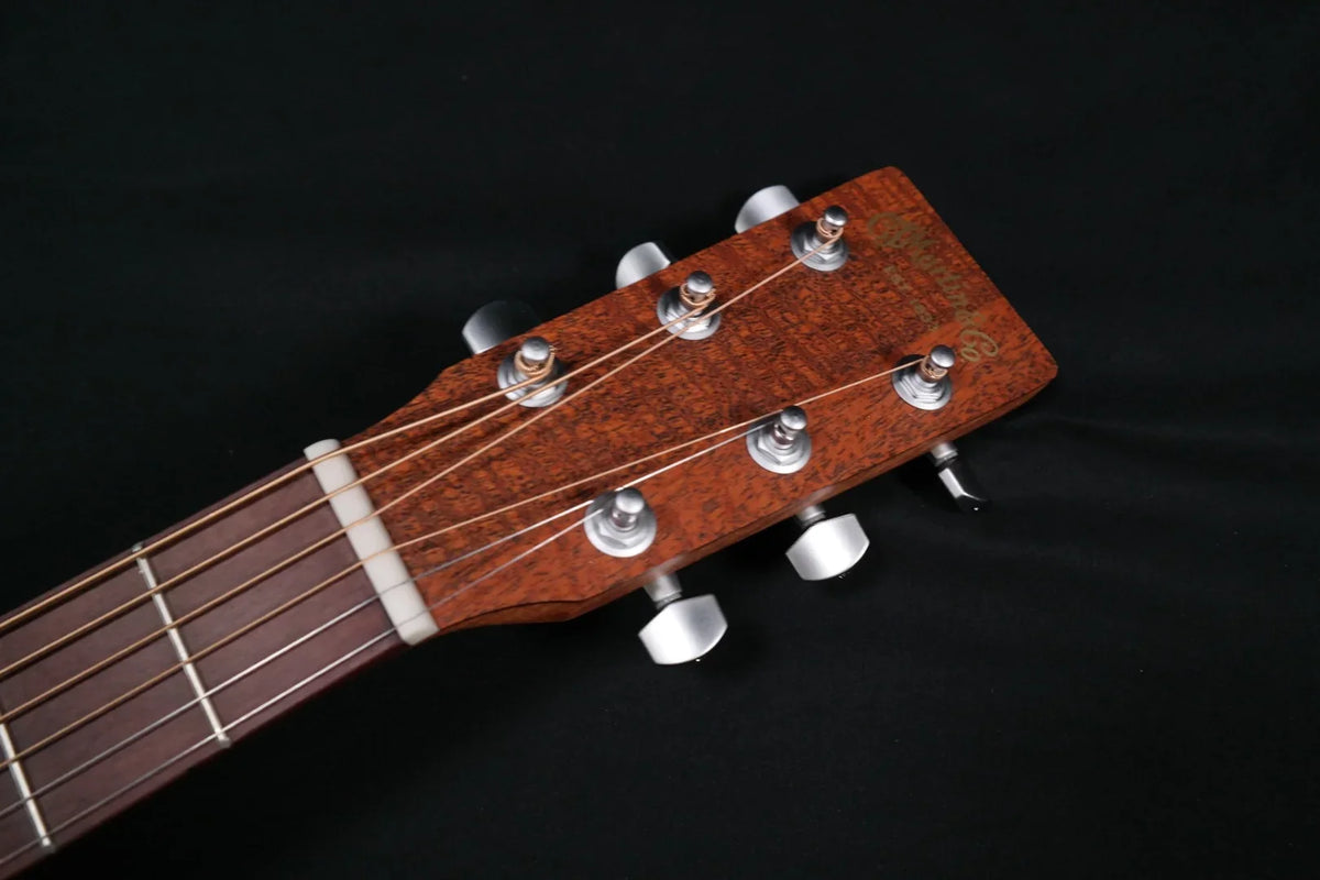 with Series D-X2E Re-Imagined Bag 934 Mahogany Gig X Martin