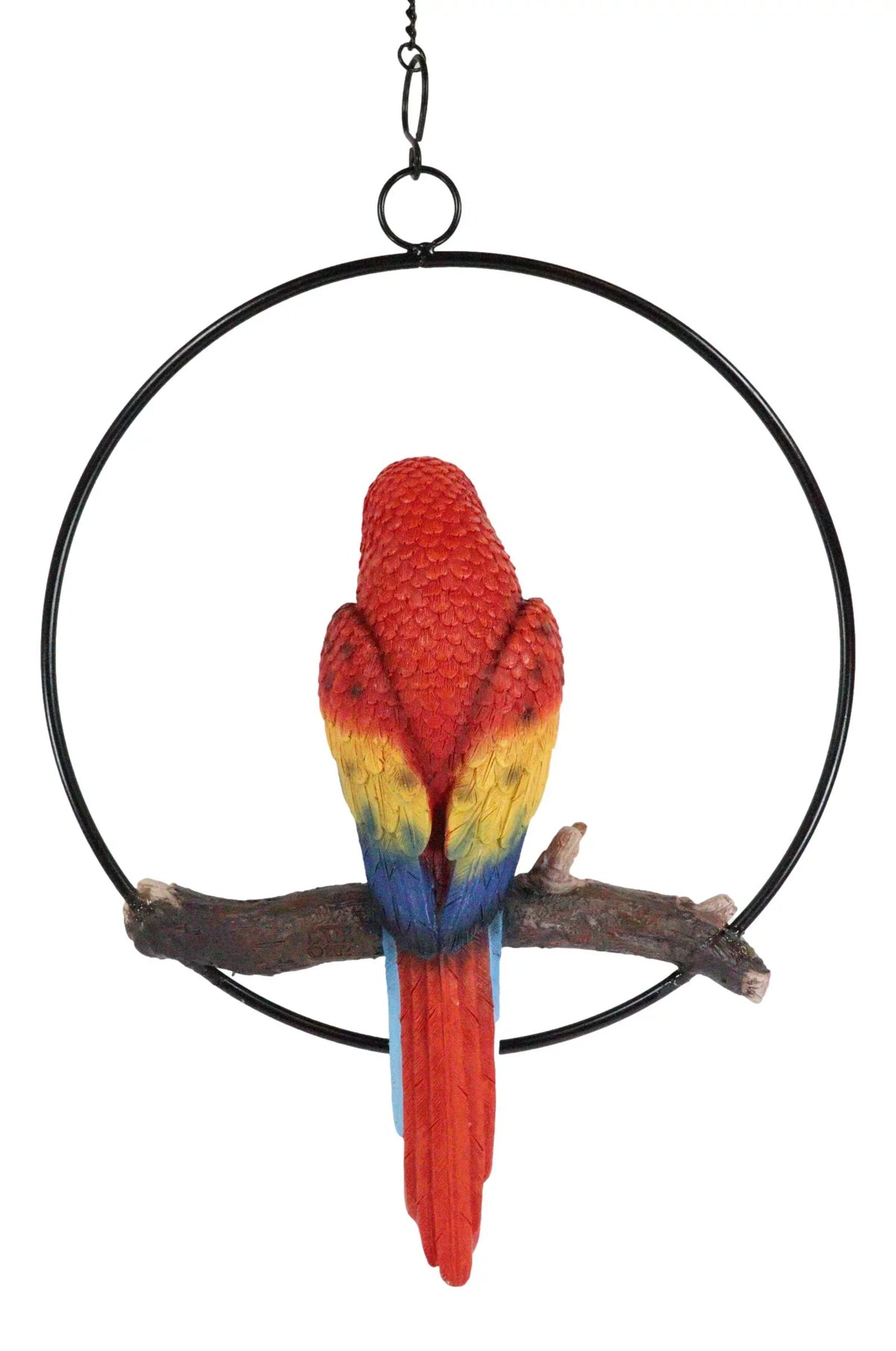 13.5"H on Scarlet Metal Hanging Round in Perching Macaw Ebros Parrot Branch Ring