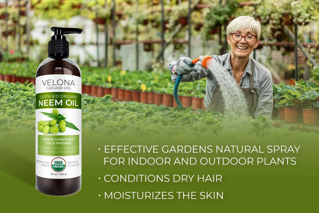 100% Skin Oil Hair, Care and Pressed Use Velona Cold Today - Organic oz | Enjoy | Body 64 Carrier USDA Unrefined, Virgin, | Results Pure - Neem Certified Natural | Oil and