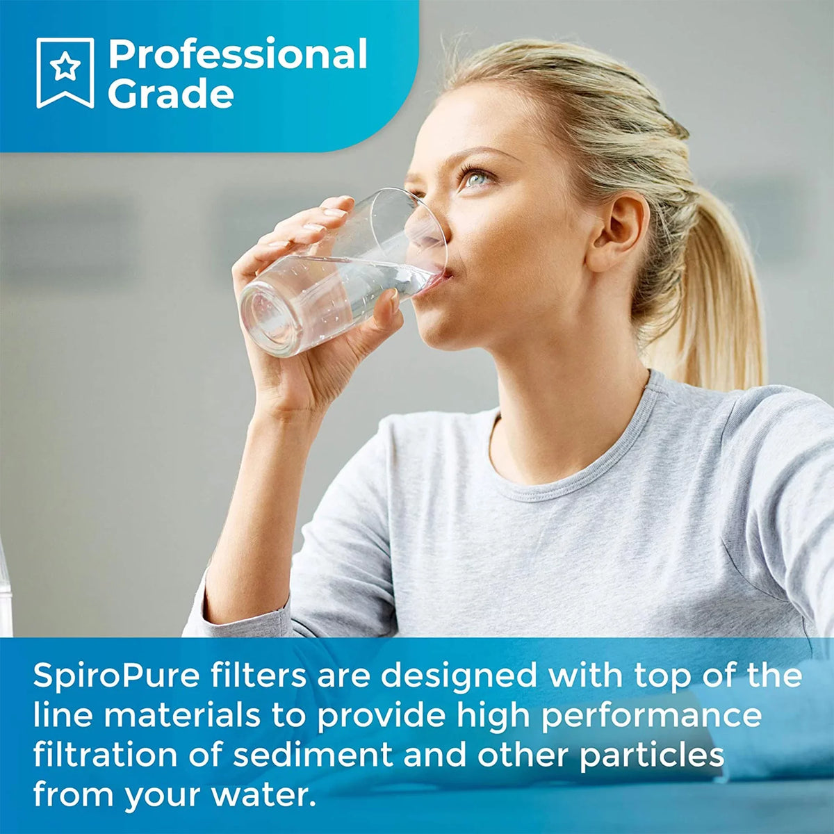 SpiroPure Polyester (24 10 Filter Pleated Micron Cartridge, 2.5" 30 Pack) x