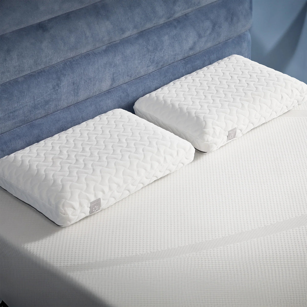 Side for Tempur-Pedic Pillow Back Pack and Memory 2 Cloud Sleepers, Bed Queen, Foam