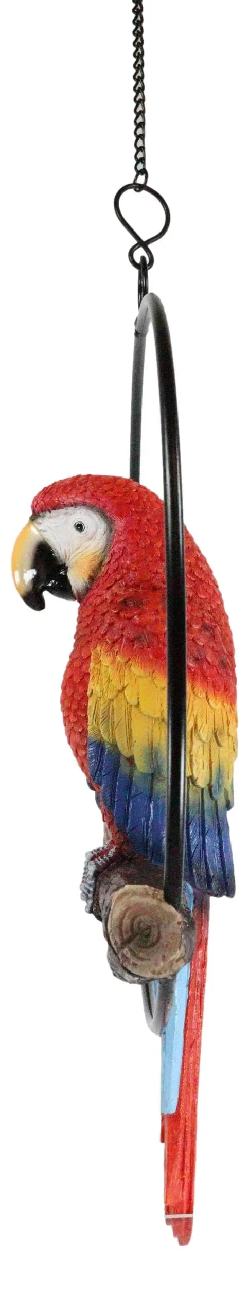 13.5"H on Scarlet Metal Hanging Round in Perching Macaw Ebros Parrot Branch Ring