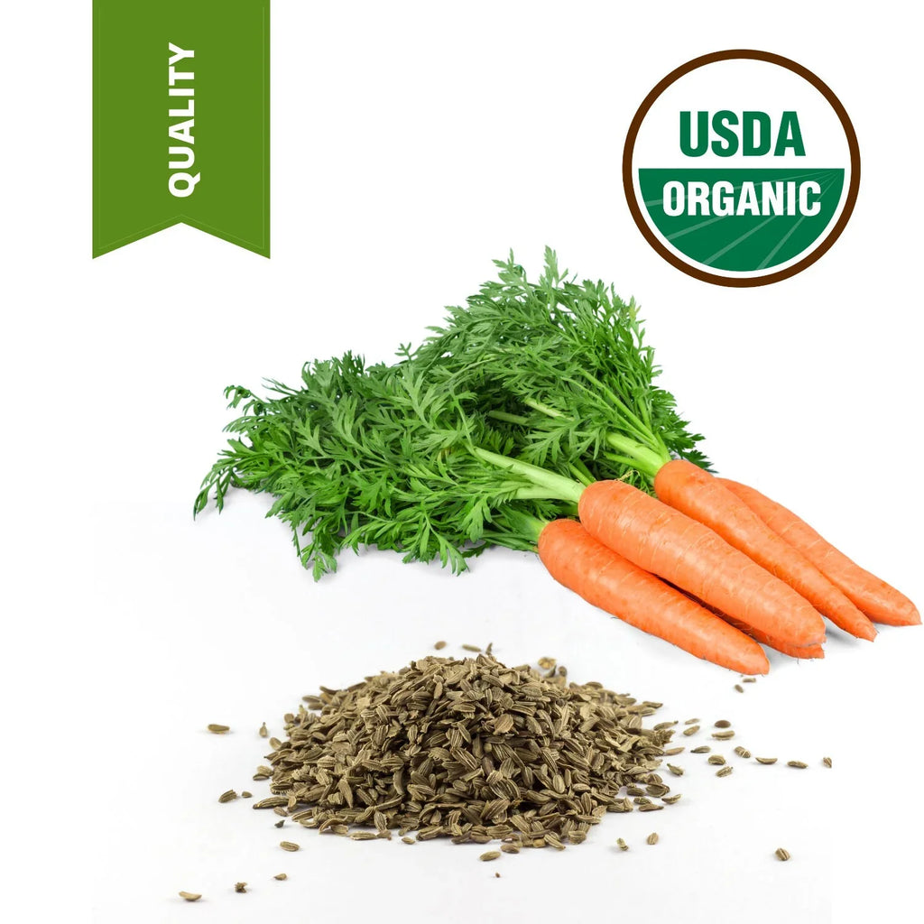 Carrier grade Gallon Oil Seed 1 Certified High 100% Unrefined Oil Carrot Pure