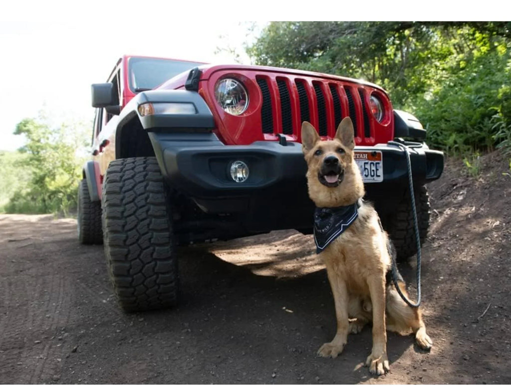Bag Venture Colorado Jeep Bed, Sleeping Large Dog Red,