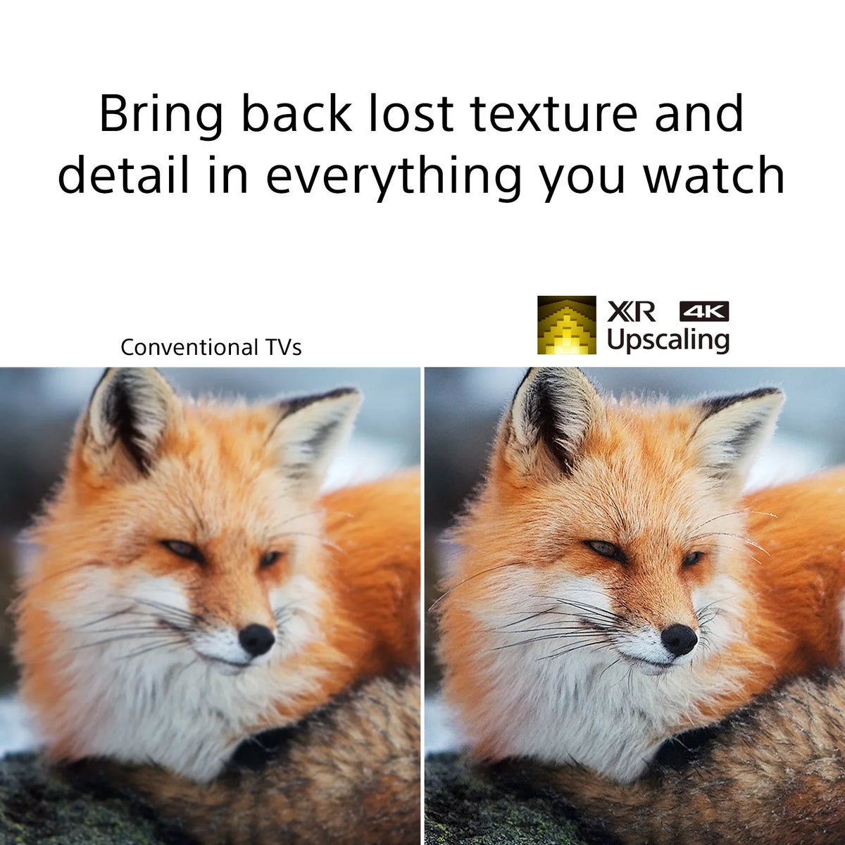 with Model Vision 75" 4K LED Dolby 2021 X95J Series TV Full Ultra XR Smart HDR Array BRAVIA Class XR75X95J HD