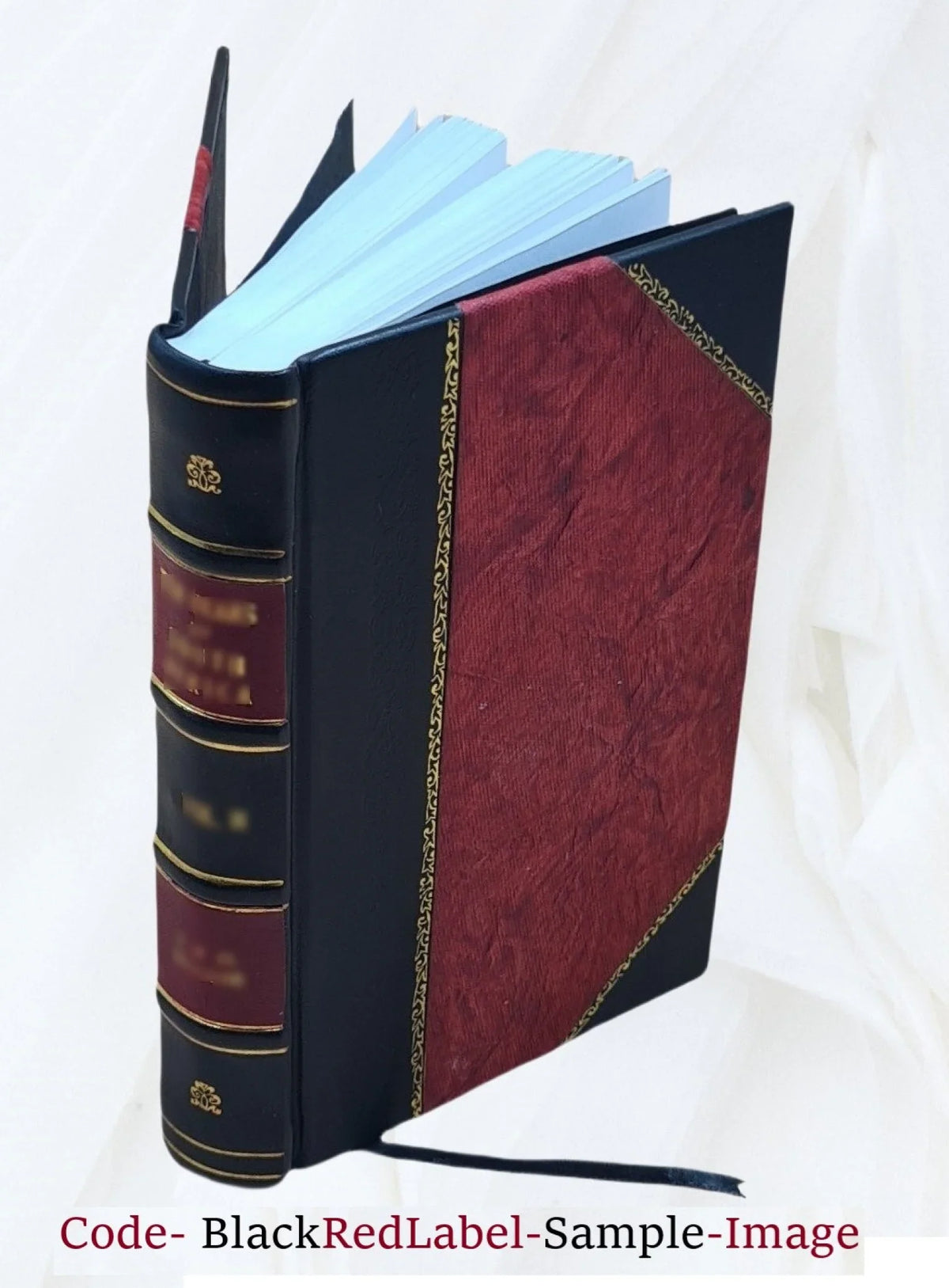 1900 [Leather Walker, 1830-1900. George Reverend D.D. Bound] Leon